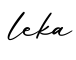 单词leka书写