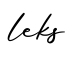 单词leks书写