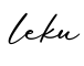 单词leku书写