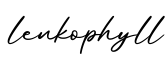 单词lenkophyll书写