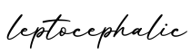 单词leptocephalic书写