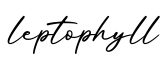 单词leptophyll书写
