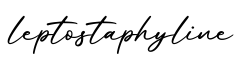 单词leptostaphyline书写