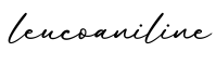 单词leucoaniline书写
