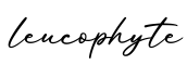 单词leucophyte书写