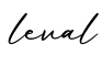 单词leval书写