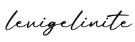 单词levigelinite书写