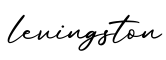单词levingston书写