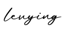 单词levying书写