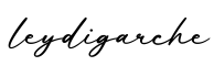单词leydigarche书写