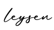 单词leysen书写