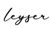 单词leyser书写