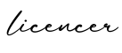 单词licencer书写