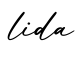 单词lida书写