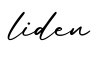 单词liden书写