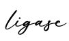 单词ligase书写