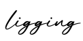 单词ligging书写