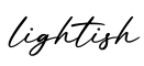 单词lightish书写
