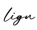 单词lign书写