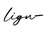 单词lign-书写