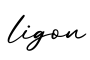 单词ligon书写