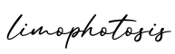 单词limophotosis书写