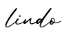 单词lindo书写