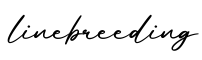 单词linebreeding书写
