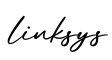 单词linksys书写