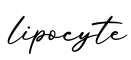 单词lipocyte书写