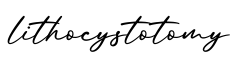 单词lithocystotomy书写
