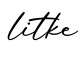 单词litke书写