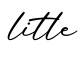 单词litle书写