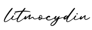 单词litmocydin书写