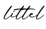 单词littel书写