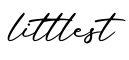 单词littlest书写