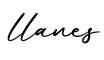 单词llanes书写