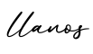 单词llanos书写