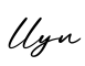 单词llyn书写