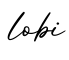 单词lobi书写