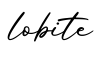 单词lobite书写