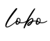 单词lobo书写