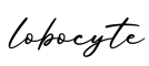 单词lobocyte书写