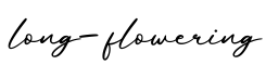 单词long-flowering书写