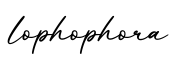 单词lophophora书写