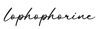 单词lophophorine书写