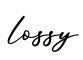 单词lossy书写