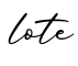 单词lote书写