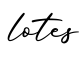 单词lotes书写