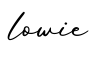单词lowie书写